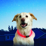 LED Dog Collar Flashing - savesummit.com