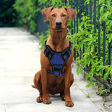 No Pull Dog Harness Vest Breathable Reflective Pet