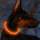 LED Dog Collar Flashing - savesummit.com